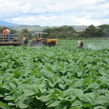 Colombia: Conflicto, literatura y tierra: ¿hasta cuándo?