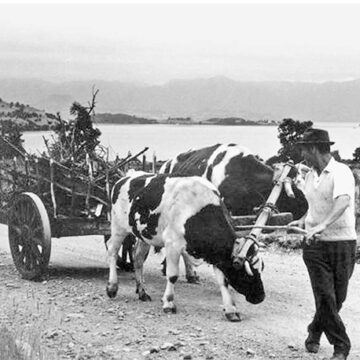 La revolución chilena en el campo