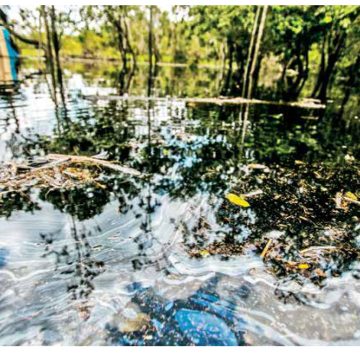 Perspectivas climáticas y políticas hacia la COP30