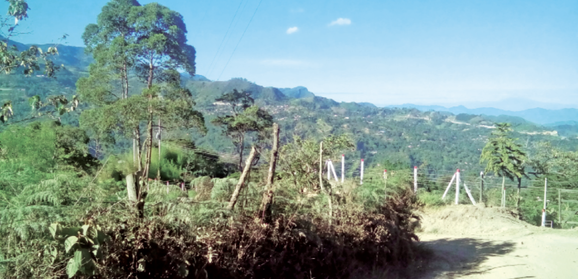 Captura de pantalla 2025-11-01 a la(s) 1.32.02 p. m. Desde el Sur también marcamos el camino