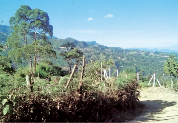 Desde el Sur también marcamos el camino