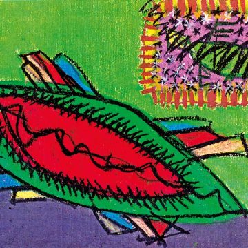 Los hutíes vencenal imperio