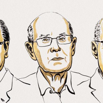 El juego con estructuras, formas y modos de la materia