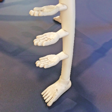 Venezuela: la revolución traicionada