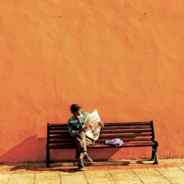 El PLD, un junco demasiado flexible