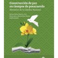 Construccion de paz en tiempos de posacuerdo