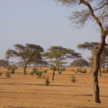 Los países del Sahel en busca de soberanía y estabilidad