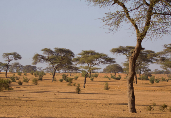 Los países del Sahel en busca de soberanía y estabilidad