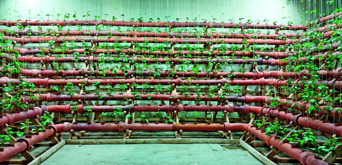 Treinta años intentando detener el cambio climático