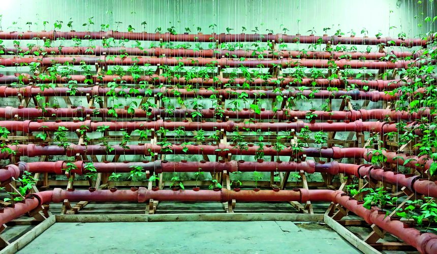 Treinta años intentando detener el cambio climático