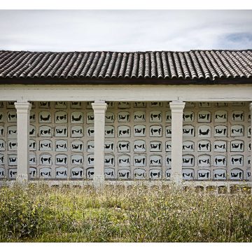 El regreso del hemisferio como problema